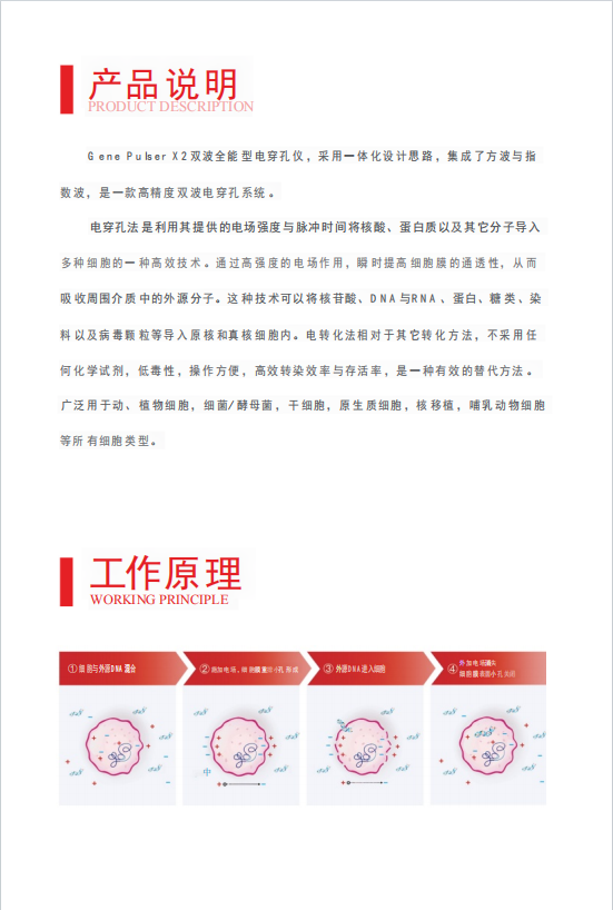 威尼德Vleader Gene Pulser X2 电穿孔仪 正面展示，多模式智能控制面板