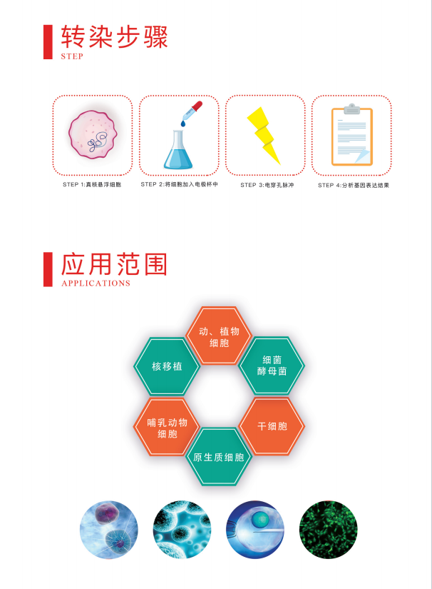 威尼德Vleader Gene Pulser X2 电穿孔仪 实验操作演示，适用于基因编辑与蛋白研究