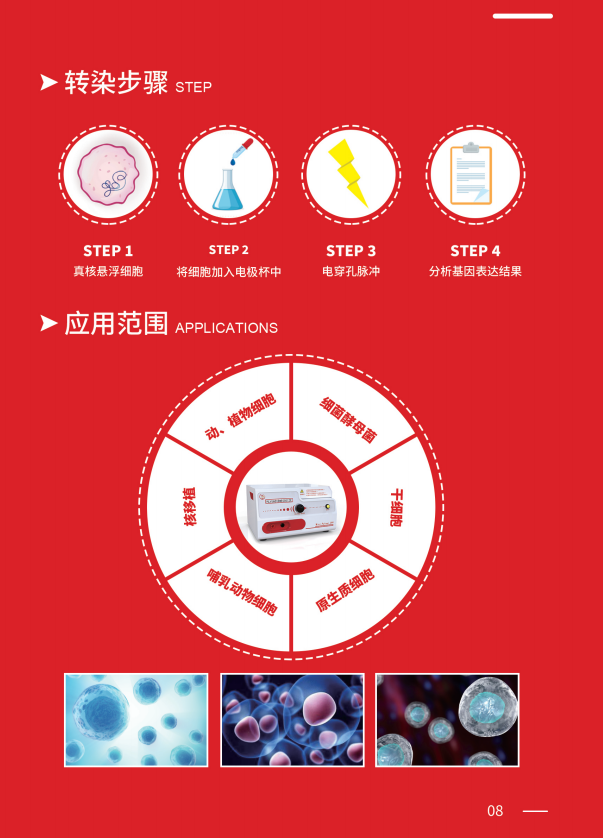 威尼德 Mini Pulser 399 电穿孔仪 触控屏界面，实时显示波形与参数