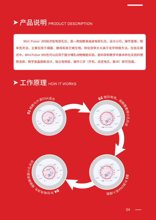 威尼德 Mini Pulser 399 电穿孔仪 正面展示，紧凑设计适合实验室操作