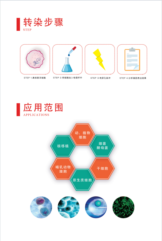 威尼德 Gene Pulser 830 方波电穿孔仪 实验操作演示，适用于基因编辑与蛋白功能研究