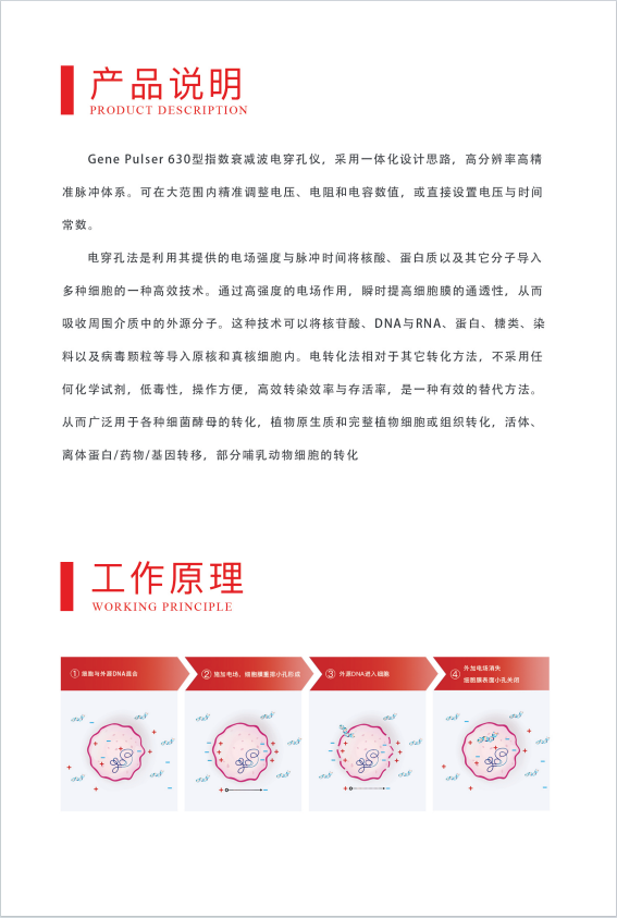 威尼德 Gene Pulser 630 电穿孔仪 正面展示，紧凑设计适合实验室操作