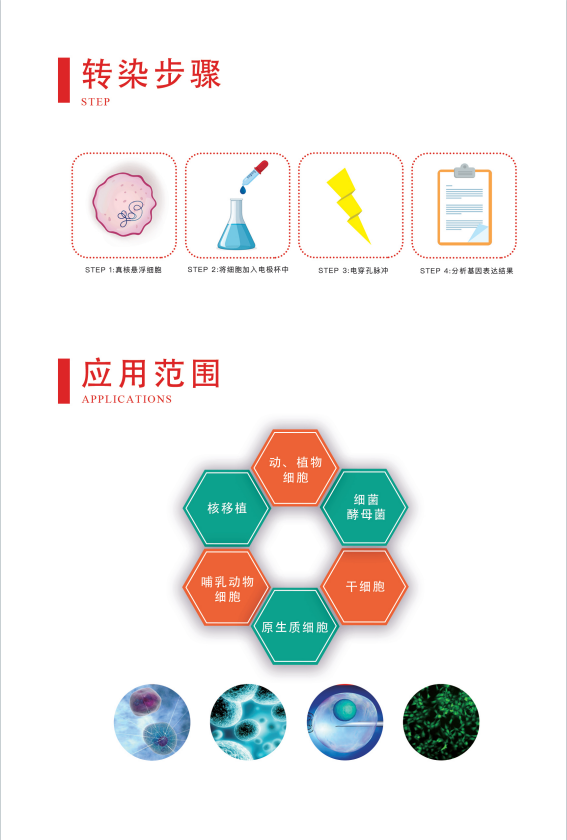 威尼德 Gene Pulser 630 电穿孔仪 侧面展示，多模式智能控制设计