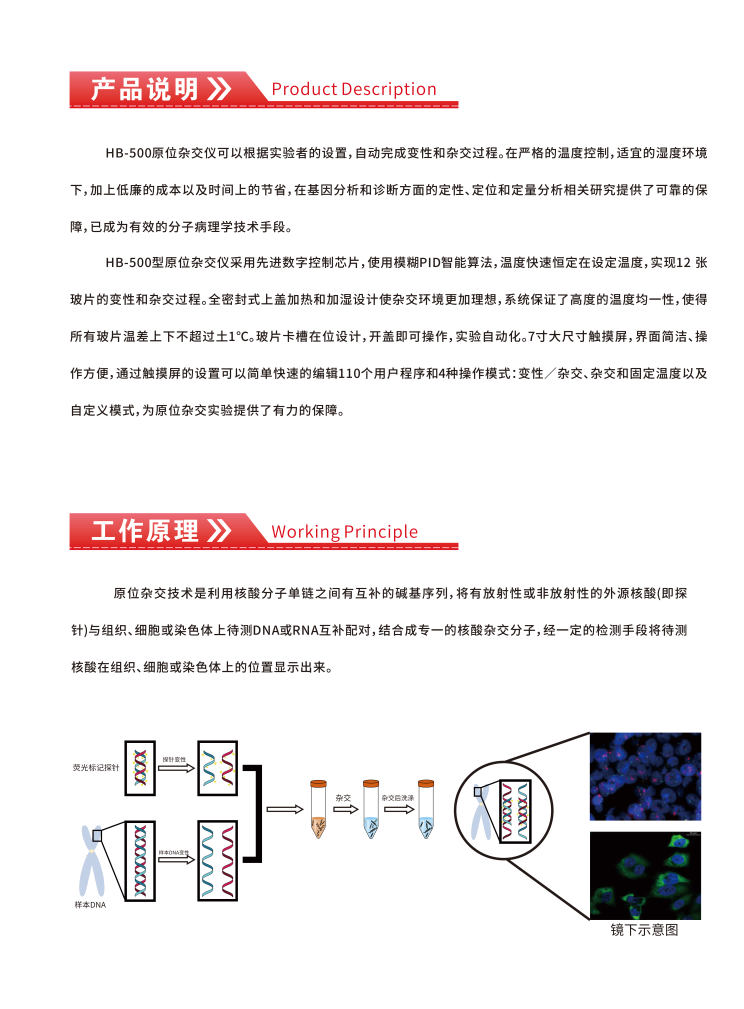 威尼德 HB-500 原位杂交仪 正面展示，7英寸智能触控屏，操作简便
