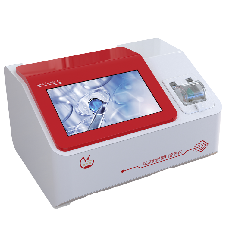 REMI 介导电转化产甘油假丝酵母