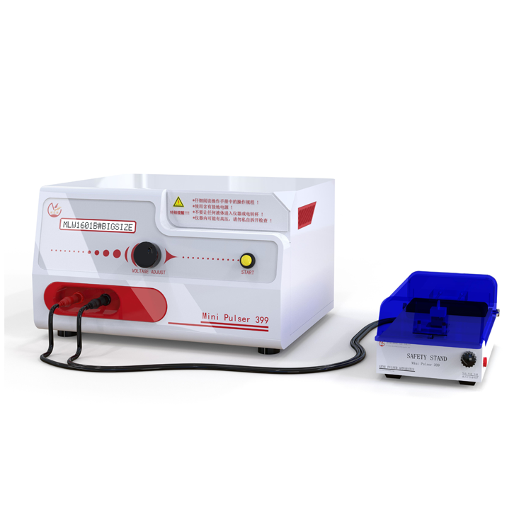 低温培养对大肠杆菌电穿孔转化效率的影响