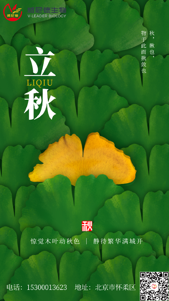 秋分至 岁月安