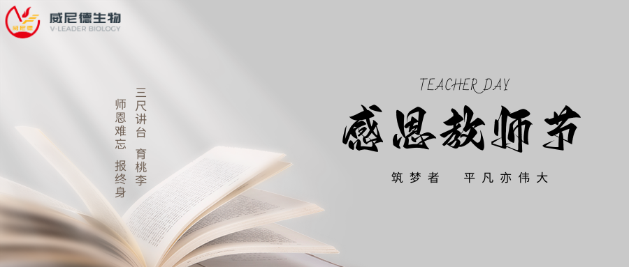 师者如光，致敬每一位科研与教育路上的引路人