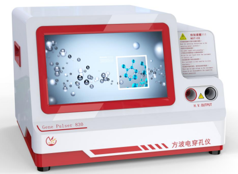 A549质粒、mRNA和CRISPR电转方案有何区别？